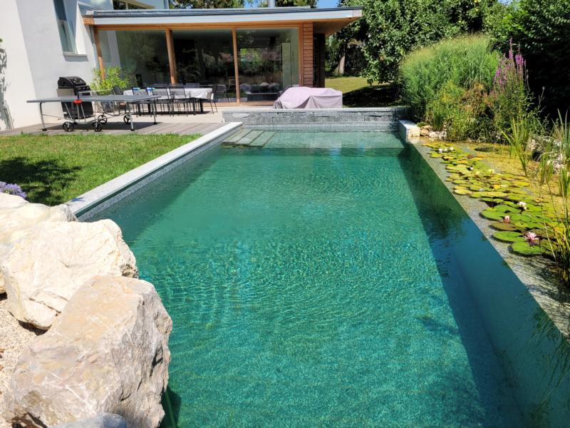 Piscine naturelle